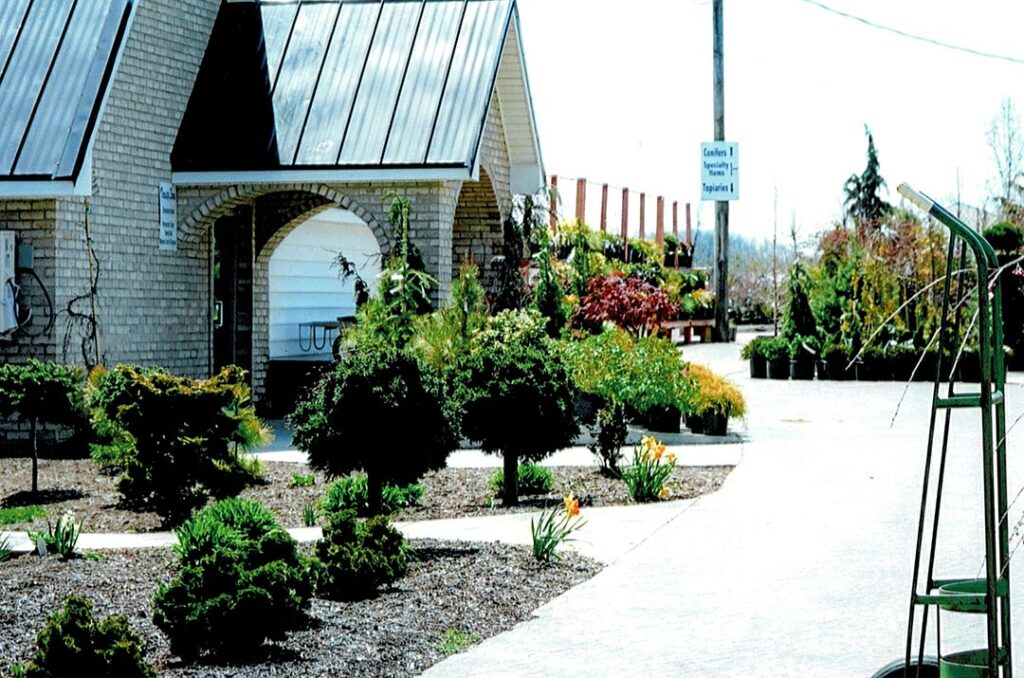 Plants at Bloomfield Nursery