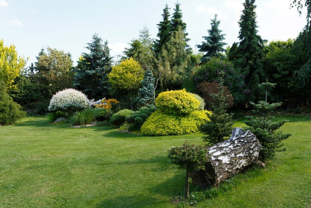 Yard With Landscape Beds