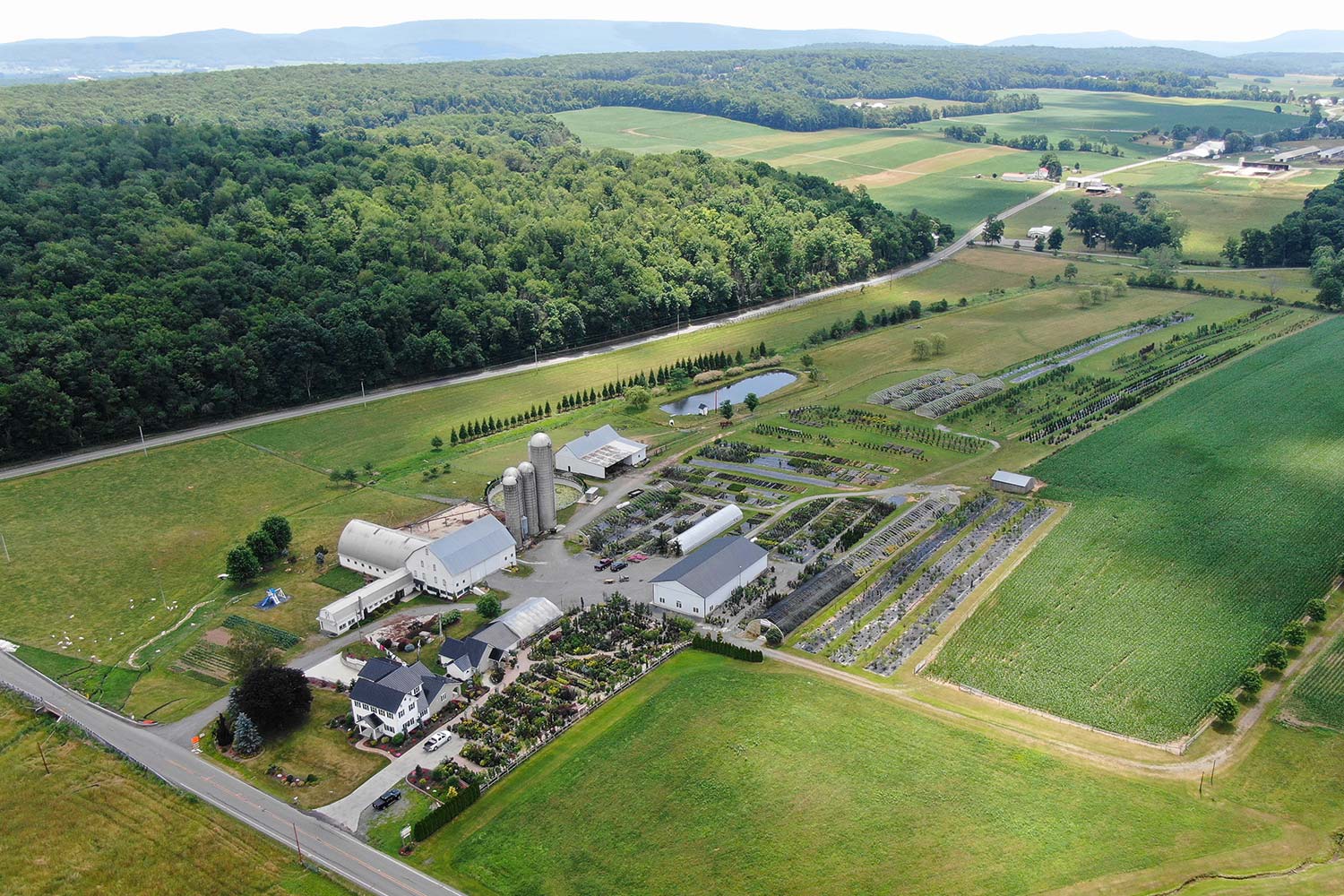 Bloomfield Nursery Ariel View