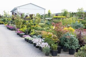 Bloomfield Nursery 17