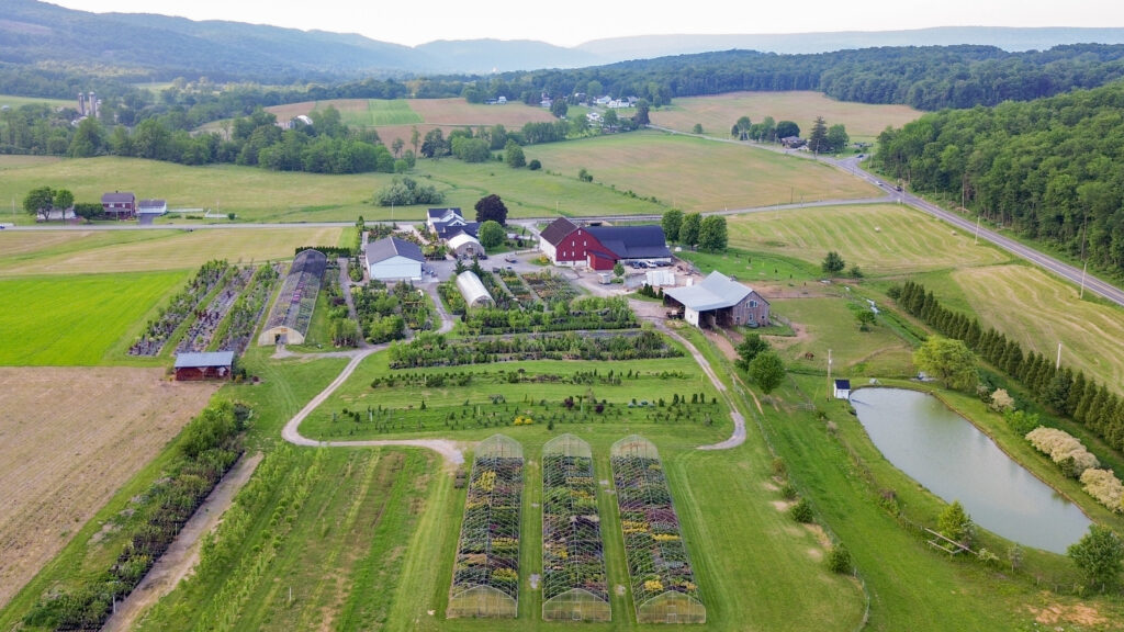 Bloomfield Nursery