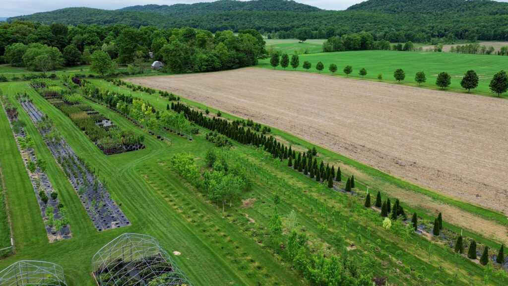 Bloomfield Nursery