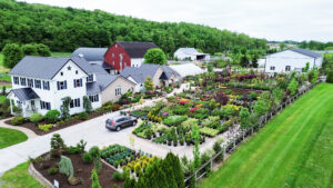 Bloomfield Nursery