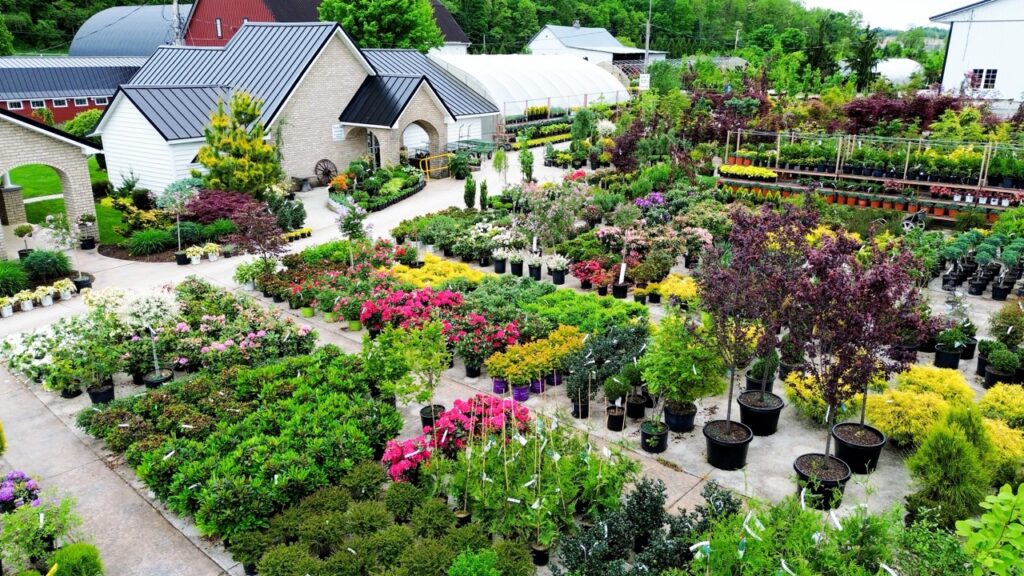 Bloomfield Nursery